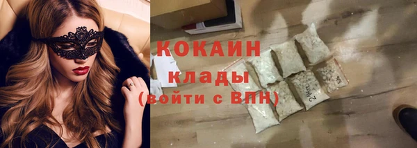 сатива Аркадак