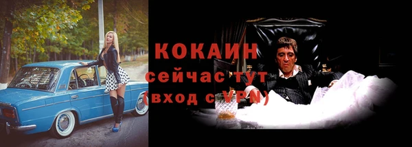 сатива Аркадак