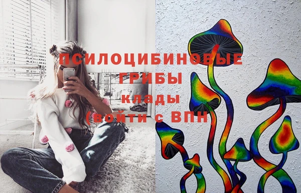 сатива Аркадак